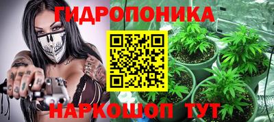 сатива Анжеро-Судженск