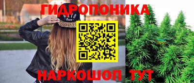 сатива Анжеро-Судженск